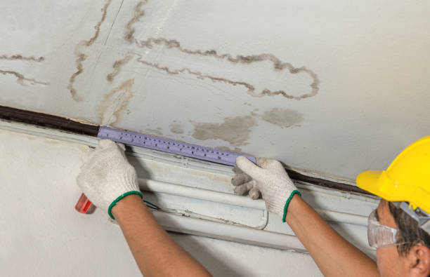 Reliable Basement Water Removal contractor in Beaver, OK by Water Damage Irwin